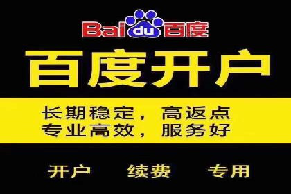 百度竞价推广公司成功案例：如何快速提升品牌曝光度